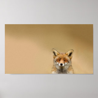 Poster Squinty Eye Fox