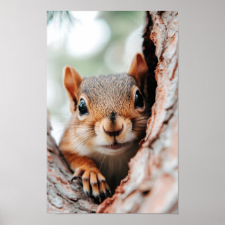 Poster Squirrel Wild Animal Loving Portrait 