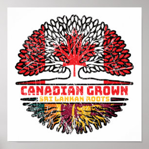 Poster Sri Lanka Sri Lanka Racines canadiennes d'arbres