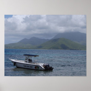 Poster St Kitts, plage de tortue