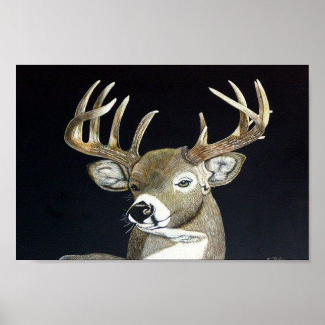 Poster Stade (Devant)