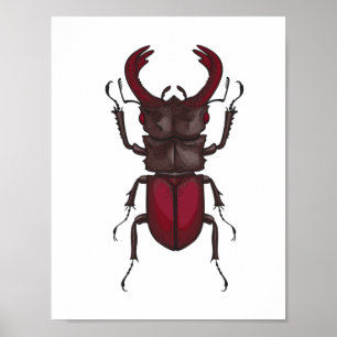 Poster Stag beetle