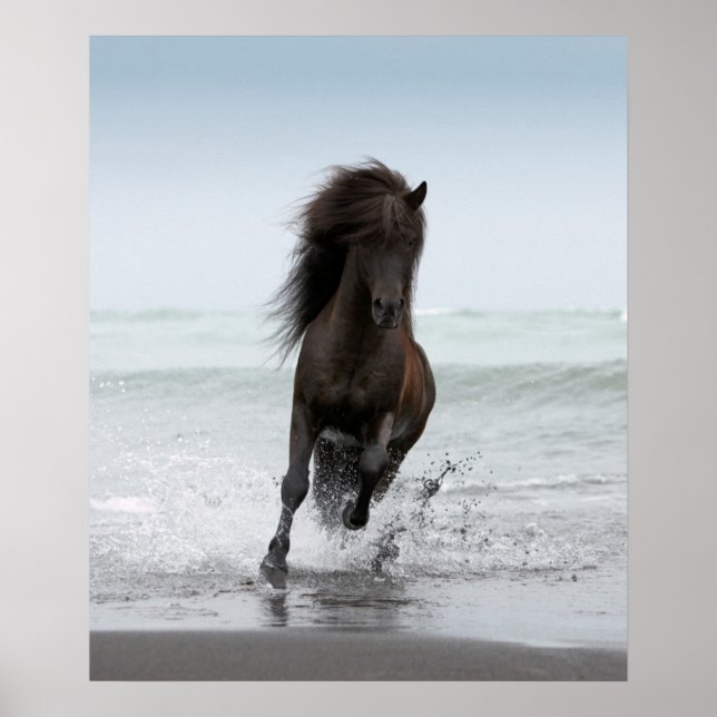 Poster Stallion En Course Sur La Plage | Atlantique Nord (Devant)