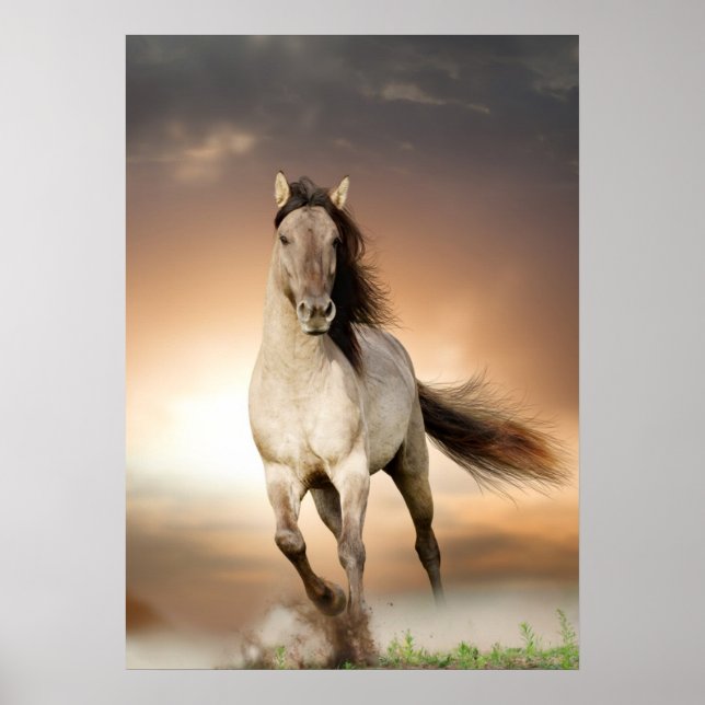 Poster Stallion Sauvage Courant Au Coucher Du Soleil (Devant)