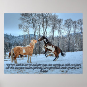 Poster Stallions Pinto Paint, Citation Neige & Rumi
