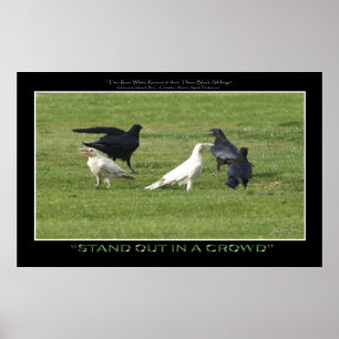 Poster "STAND OUT" BLANC RAVENS Photo Motivationnelle Imp