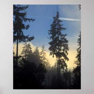 Poster Stanley Park, bois, couche marine brouillard roula