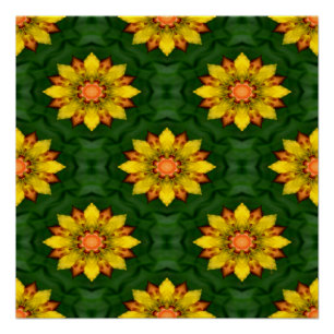 Poster Star Flowers...