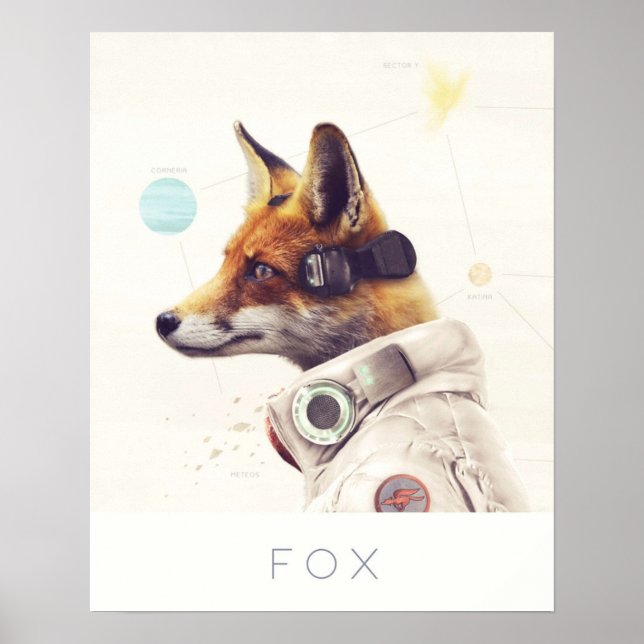 Poster Star Team Fox (Devant)