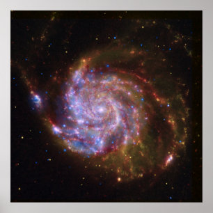 Poster Starbirth in the Pinwheel : Galaxy M101