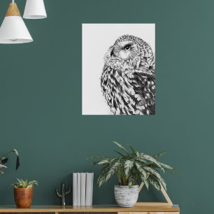 Poster Stargazer
