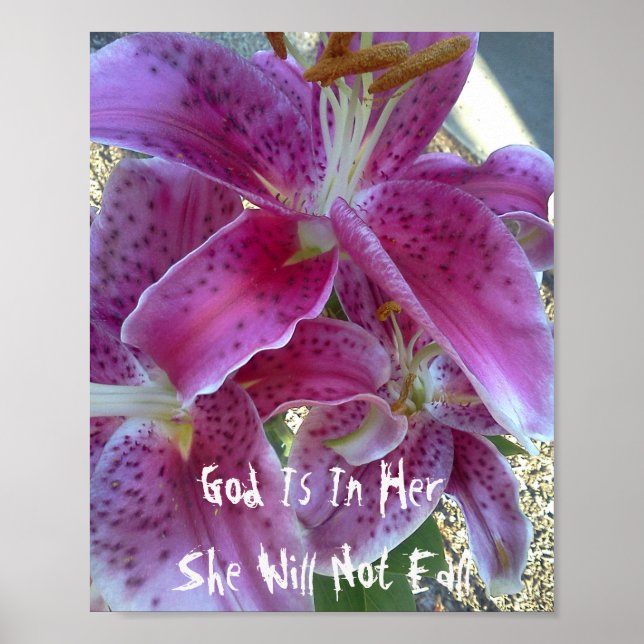 Poster Stargazer Lily Dieu En Elle Elle Ne Tombera Pas (Devant)