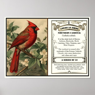 Poster State Bird Collection, Cardinal, personnalisable