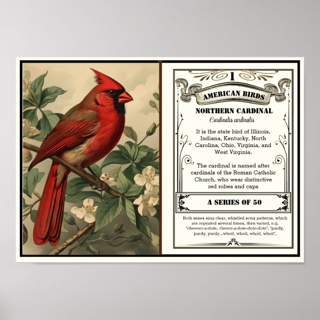 Poster State Bird Collection, Cardinal, personnalisable (Devant)