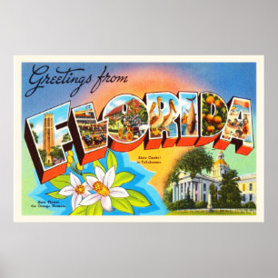 Poster State Florida FL Vieux souvenir Vintage voyage
