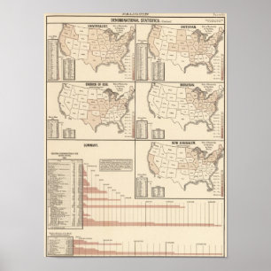 Poster Statistiques dénominatives des Etats-Unis