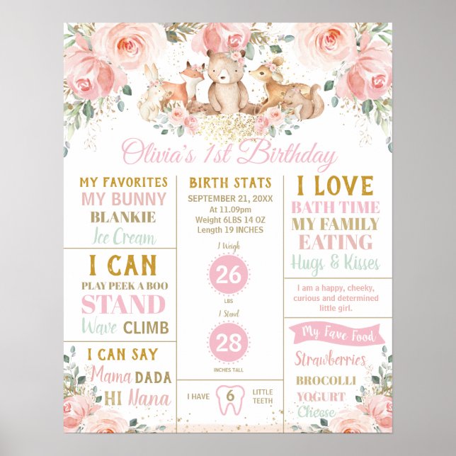 Poster Stats de naissance pour le 1er anniversaire de Woo (Devant)