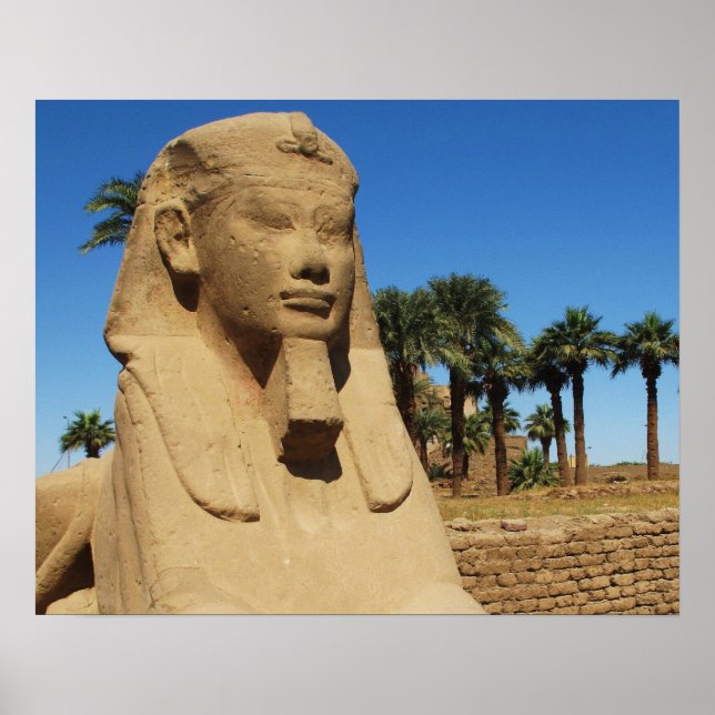 Poster Statue antique égyptienne sphinx luxe Egypte (Devant)