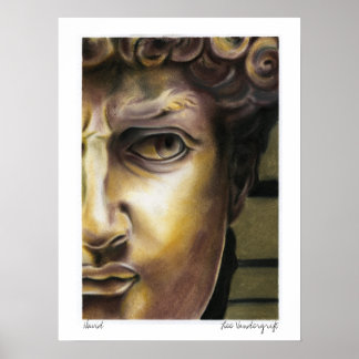 Poster Statue de David par Lee Vandergrift