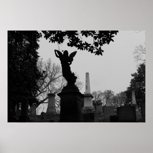 Poster Statue de l'ange noir et blanc (Devant)