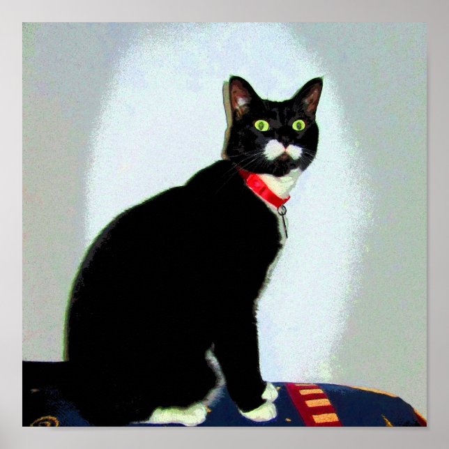 Poster Statue Lucy (Devant)