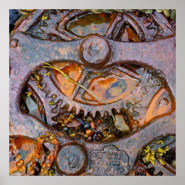 Poster Steampunk (Devant)