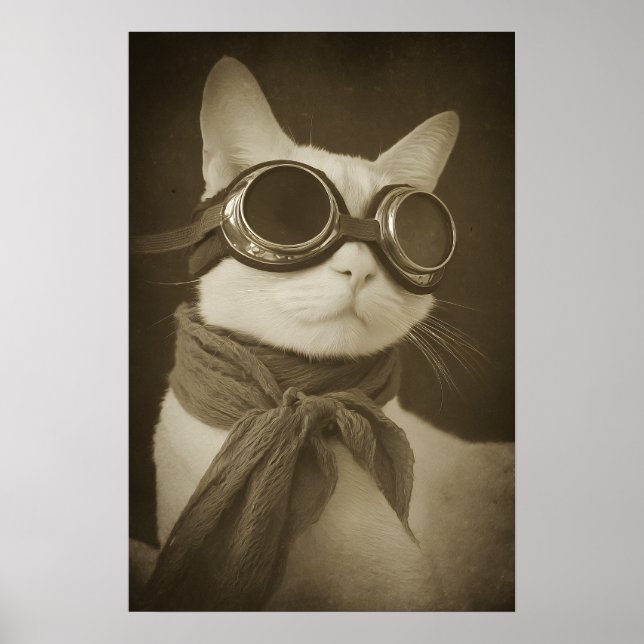 Poster Steampunk Aviator Cat Sepia Portrait (Devant)