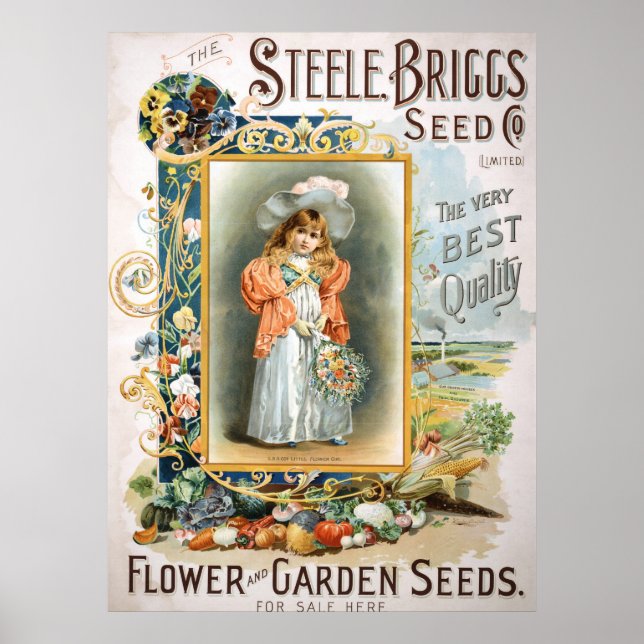 Poster Steele Briggs (Devant)