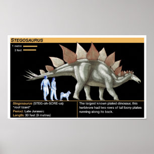 Poster Stégosaure - Chronologie des dinosaures de la biol