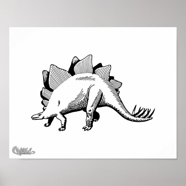 Poster Stegosaurus (Devant)