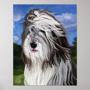 Poster Stella, le chien des moutons anglais