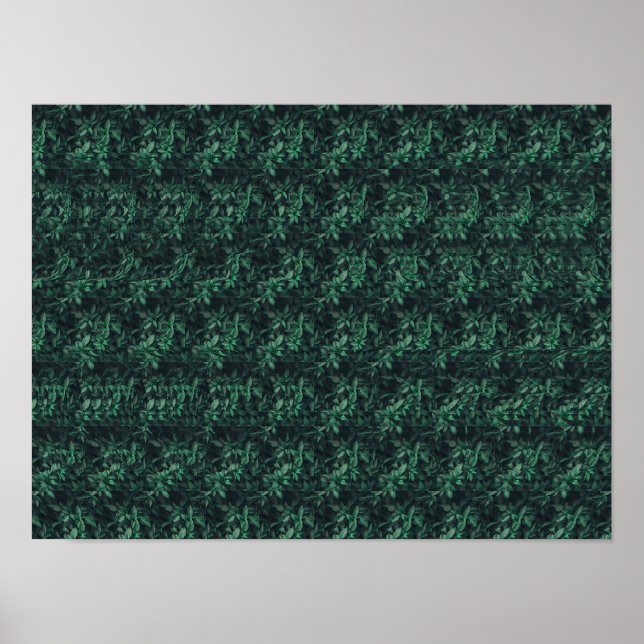 Poster Stéréogramme 3D caché (Devant)