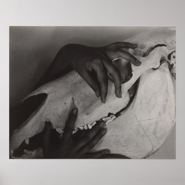 Poster Stieglitz Georgia O’Keeffe Hands Horse Skull Photo (Devant)