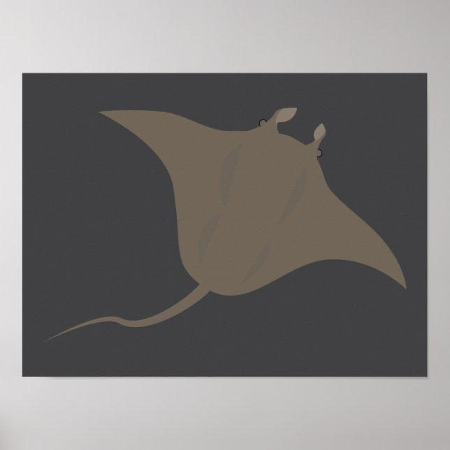 Poster Stingray (Devant)