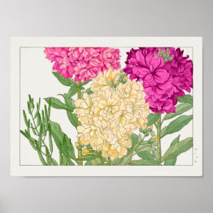 Poster Stock par Tanigami Konan