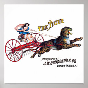 Poster Stoddard Tiger