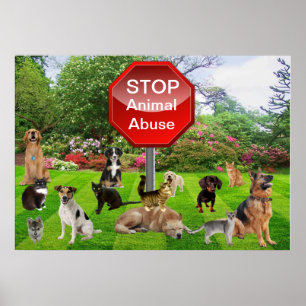 Poster Stop Animal Abuse