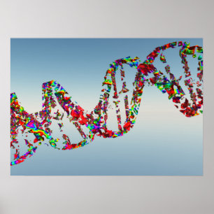 Poster Strand ADN