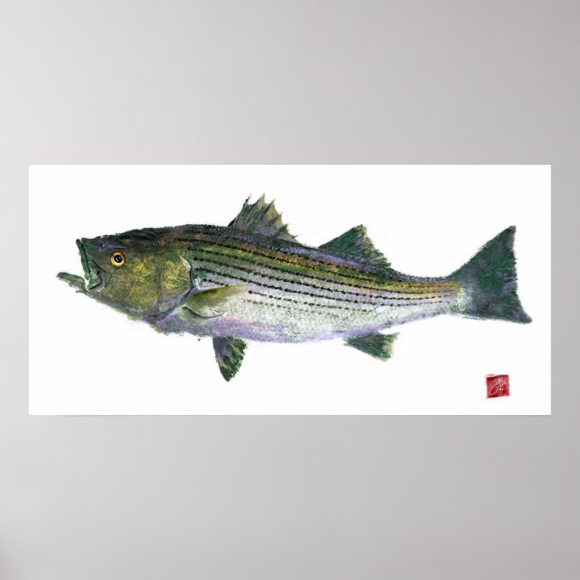 Poster Stried Bass Gyotaku Open Edition (Devant)