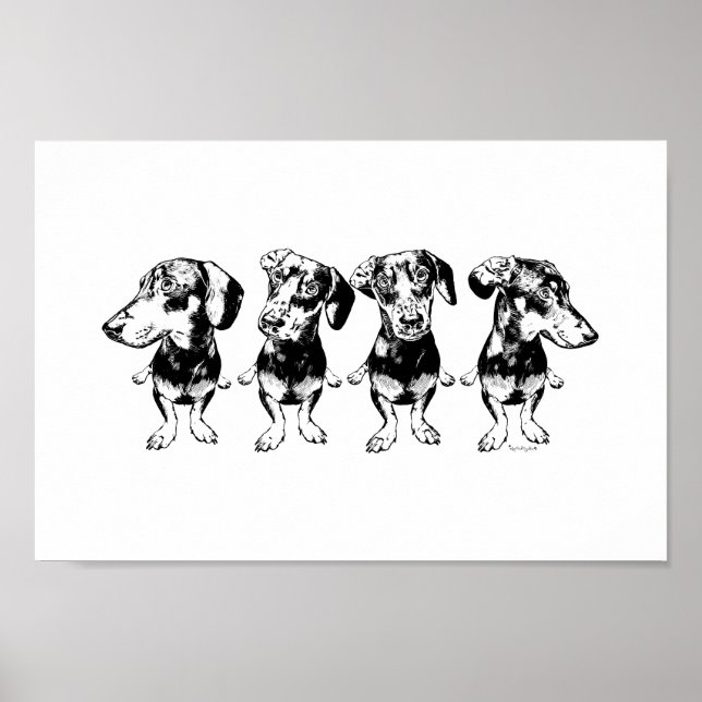 Poster 'Strike A Pose Dex' Flippy Ear Dex Art Imprimer (Devant)