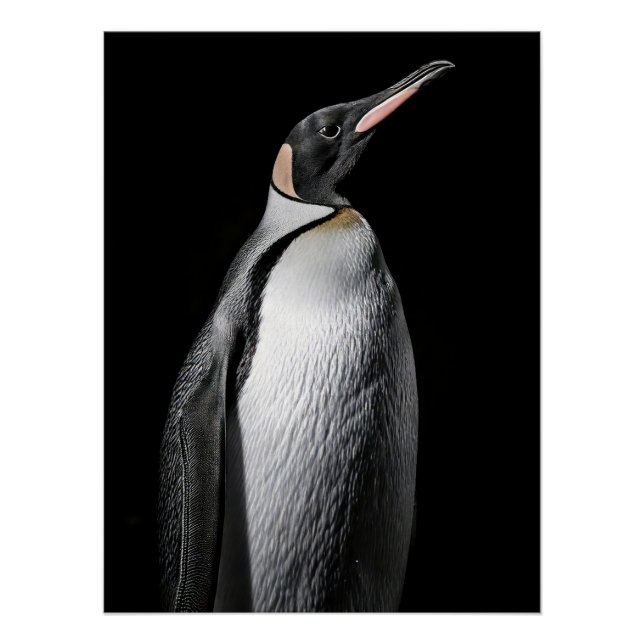 Poster  Striking High Contrast Emperor Penguin Fine Art  (Devant)