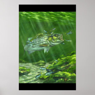 Poster "Striped Bass on the Rocks"