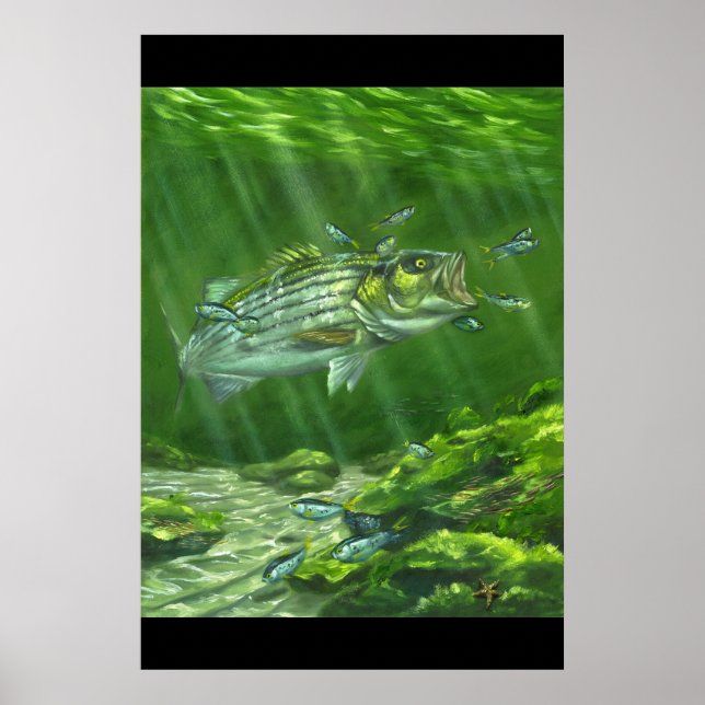 Poster "Striped Bass on the Rocks" (Devant)