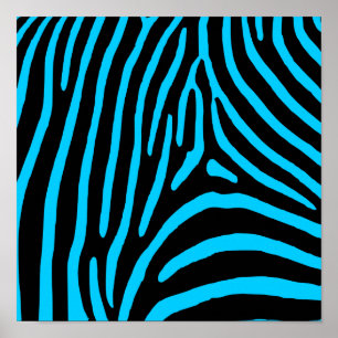Poster Stripes Zebra Noir et Aqua