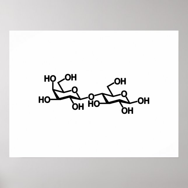 Poster Structure du lait lactose (Devant)