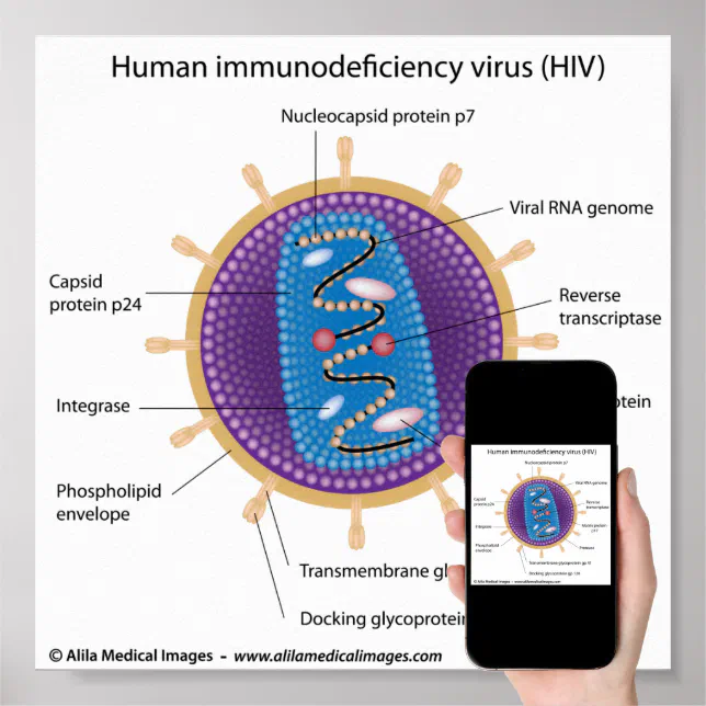 structure du virus VIH