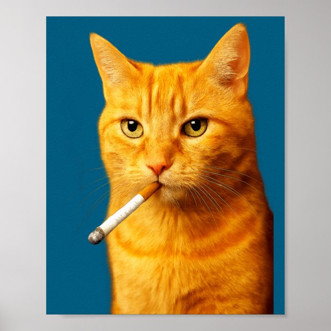 Poster Stud Cool Funny Cat Meme Smoking Cat Cigarette  (Devant)
