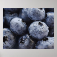 Studio photo de bleuets 3
