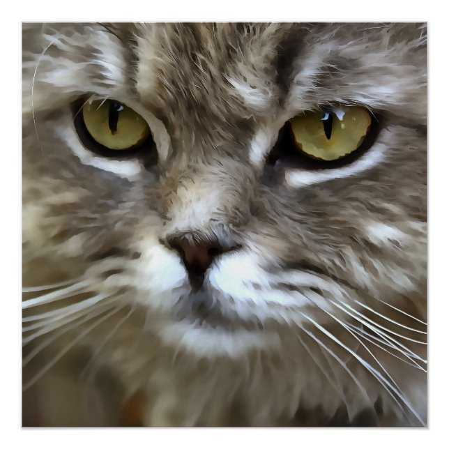 Poster Stunning Grey Chat Animal Portrait Artistique (Devant)