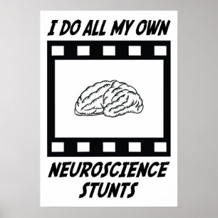 Poster Stunts neuroscientifiques
